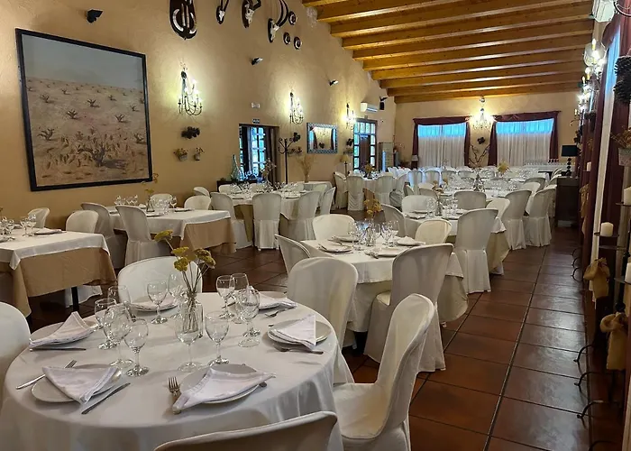 艾尔卡斯特雷洪酒店 3* 塞夫雷罗斯