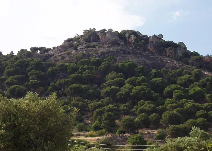 艾尔卡斯特雷洪酒店 酒店 3*