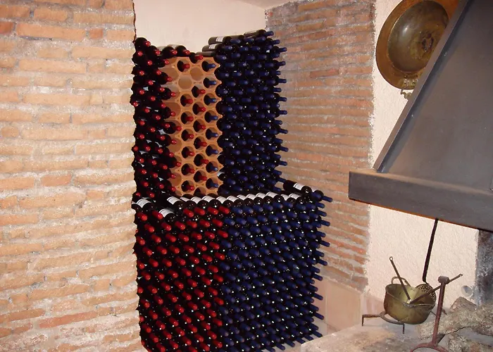 艾尔卡斯特雷洪酒店 酒店