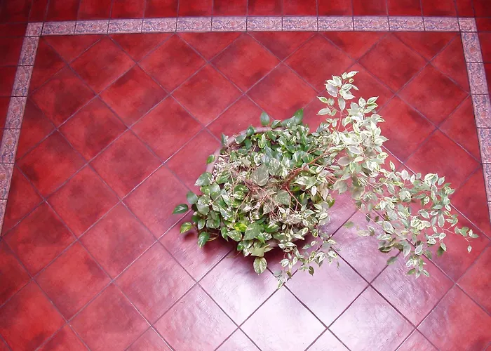 艾尔卡斯特雷洪酒店